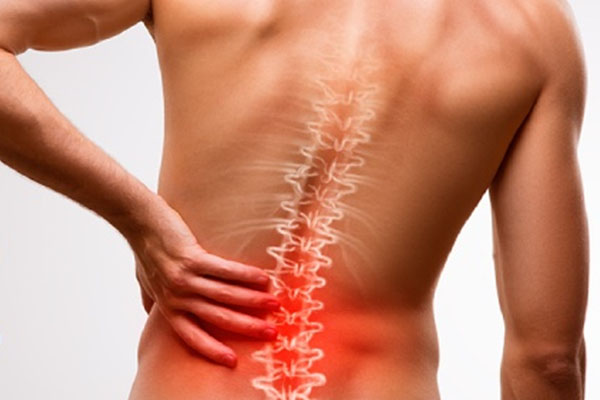 Apa yang Didukung oleh OVISURE GOLD OVISURE GOLD (1)