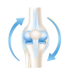 screenshot-2023-07-04-105715-20230704035752-lzkn3